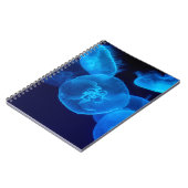 CARNET BEAU JELLYFISH (Côté gauche)