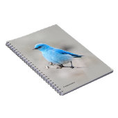 Carnet Beau oiseau bleu de montagne (Côté Droit)