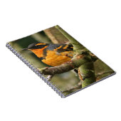 Carnet Beau oiseau-chanteur à gorge variée dans l'arbre (Côté Droit)