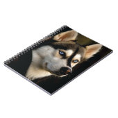 Carnet Beau Oreiller Husky Lrow (Côté gauche)
