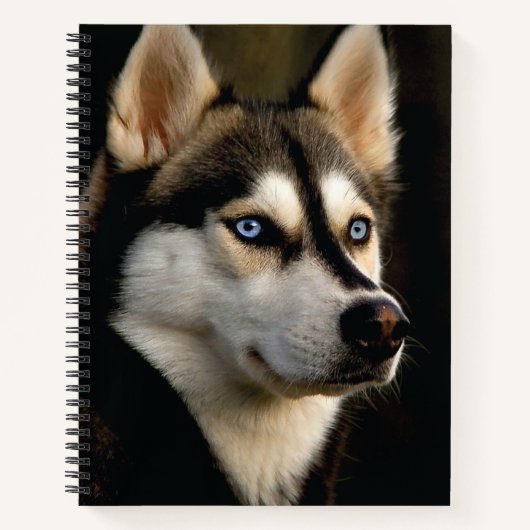 Carnet Beau Oreiller Husky Lrow (Devant)
