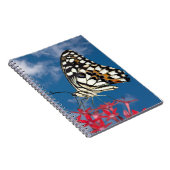 Carnet Beau Papillon (Côté Droit)
