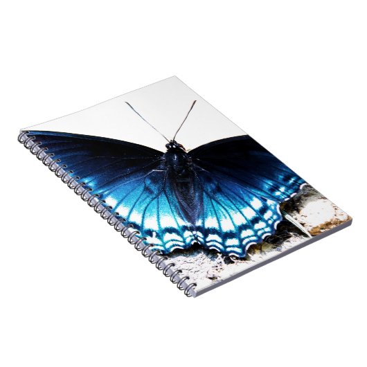 Carnet Beau papillon bleu (Côté Droit)