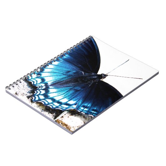 Carnet Beau papillon bleu (Côté gauche)