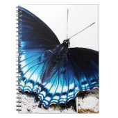 Carnet Beau papillon bleu (Devant)