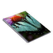 Carnet Beau papillon Turquoise Swallowtail (Côté Droit)