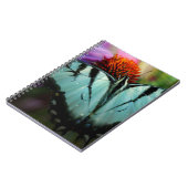 Carnet Beau papillon Turquoise Swallowtail (Côté gauche)