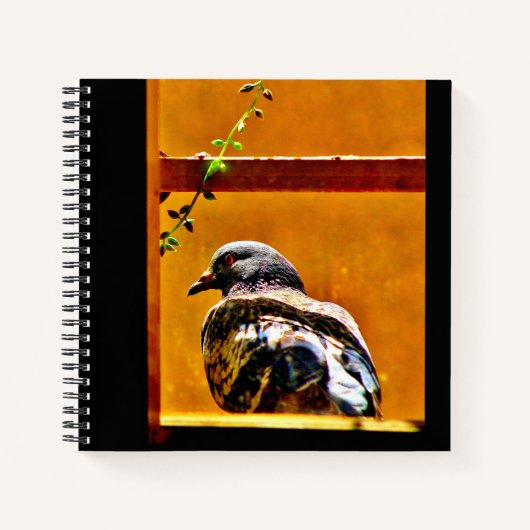 Carnet Beau Pigeon (Devant)