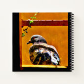 Carnet Beau Pigeon (Dos)