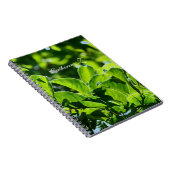 Carnet Beau printemps, feuilles verts d'été. Ajouter un n (Côté Droit)