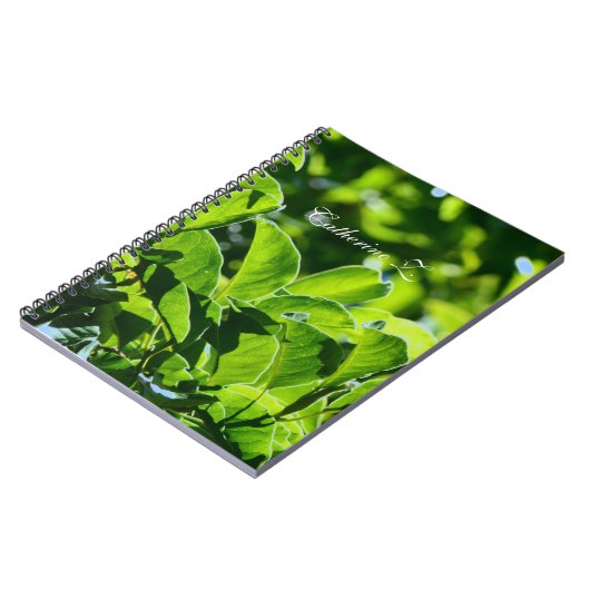 Carnet Beau printemps, feuilles verts d'été. Ajouter un n (Côté gauche)
