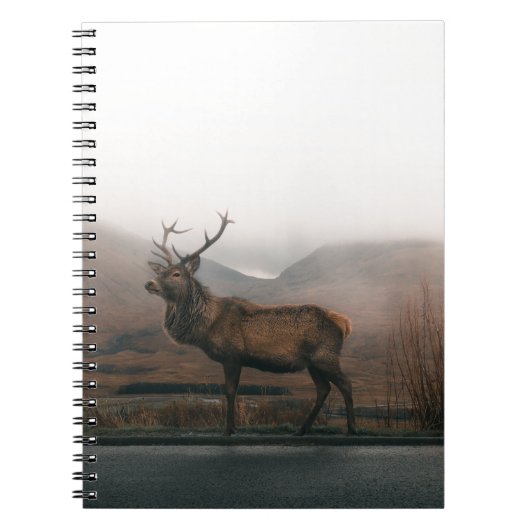 CARNET BEAU RÉINDEUR (Devant)
