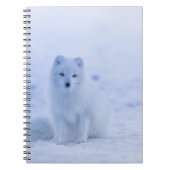 Carnet Beau renard arctique (Devant)