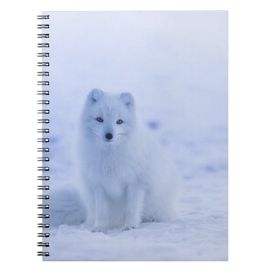 Carnet Beau renard arctique (Devant)