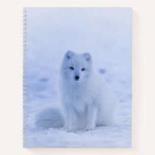 Carnet Beau renard arctique