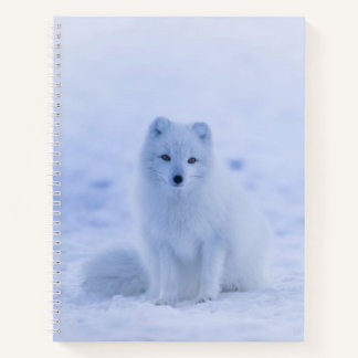 Carnet Beau renard arctique