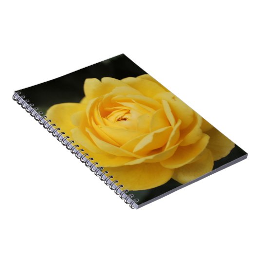 Carnet Beau rose jaune (Côté Droit)