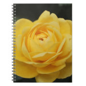 Carnet Beau rose jaune (Devant)
