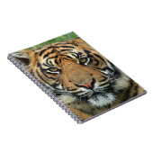 Carnet Beau tigre (Côté Droit)