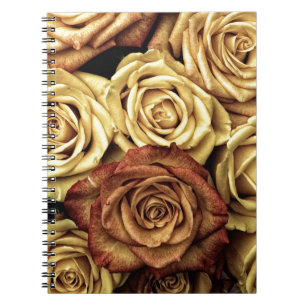 Carnet Beau vieux Rose