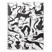 Carnet Beaucoup de chats (Devant)