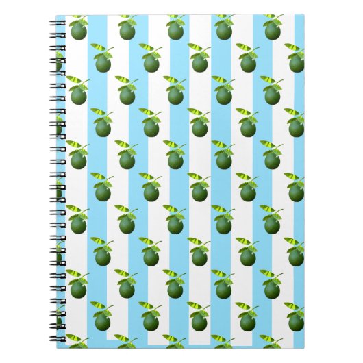 Carnet Beaucoup de chaux (Devant)