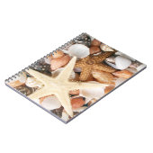 Carnet Beaucoup de coquillages (Côté gauche)