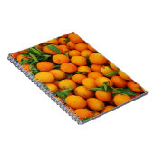 Carnet Beaucoup d'oranges (Côté Droit)