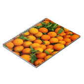 Carnet Beaucoup d'oranges (Côté gauche)
