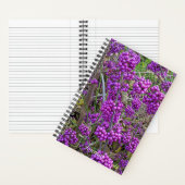 Carnet Beauté américaine pourpre Botanique (À l'intérieur)