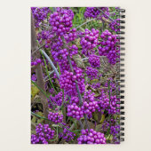 Carnet Beauté américaine pourpre Botanique (Verso)