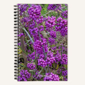 Carnet Beauté américaine pourpre Botanique (Recto)