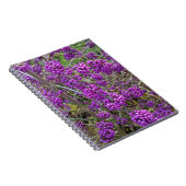 Carnet Beauté botanique américaine pourpre (Côté Droit)
