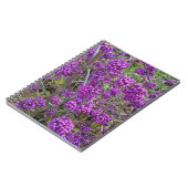 Carnet Beauté botanique américaine pourpre (Côté gauche)