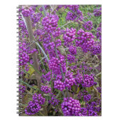 Carnet Beauté botanique américaine pourpre (Devant)