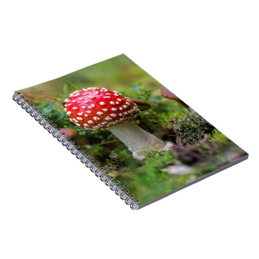 Carnet Beauté d'automne (Côté Droit)