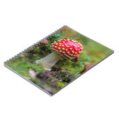 Carnet Beauté d'automne (Côté gauche)