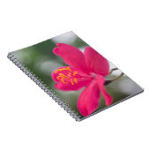 Carnet Beauté de Shanghai (Côté Droit)