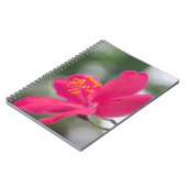 Carnet Beauté de Shanghai (Côté gauche)