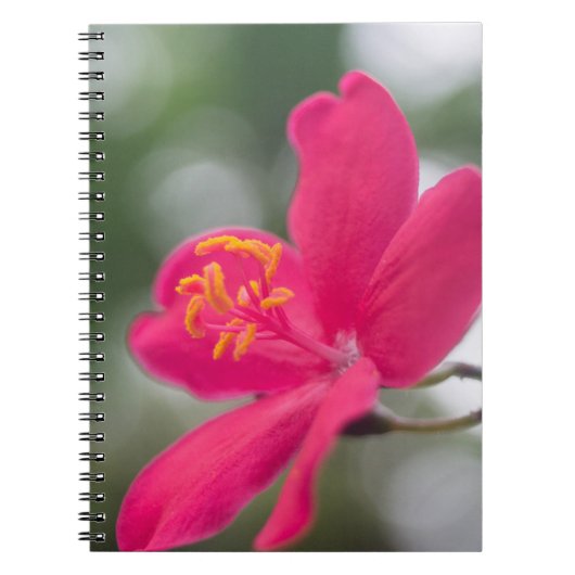 Carnet Beauté de Shanghai (Devant)
