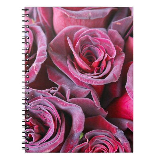 Carnet Beauté de velours (Devant)