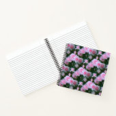 Carnet Beauté délicate.... (Intérieur)