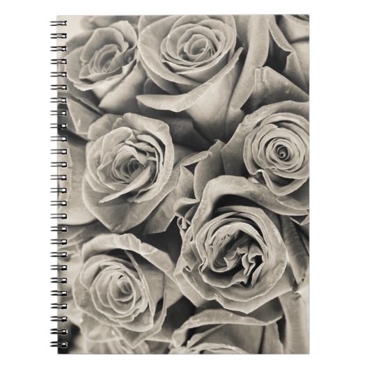 Carnet Beauté Velours Vintage (Devant)