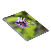 Carnet Beautiful moth (Côté Droit)