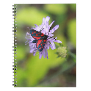 Carnet Beautiful moth