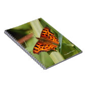 Carnet Beautiful Orange Satyr Comma Butterfly (Côté Droit)