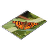 Carnet Beautiful Orange Satyr Comma Butterfly (Côté gauche)