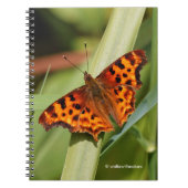 Carnet Beautiful Orange Satyr Comma Butterfly (Devant)