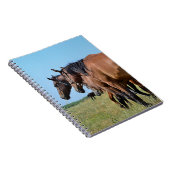 Carnet Beaux Chevaux de Baie (Côté Droit)
