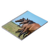 Carnet Beaux Chevaux de Baie (Côté gauche)